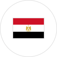 Service Flag