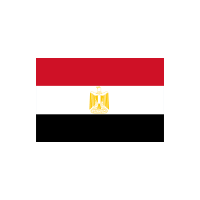 Service Icon